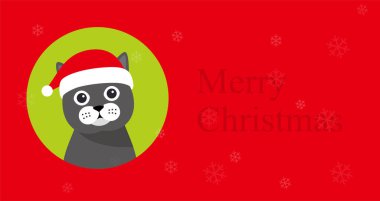 Kedi Noel 'i kutlamak için orada oturuyor.