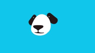 Panda Vektör Görüntüsü Tam HD Çözünürlük HD Hayvan Hareketi Grafiği