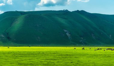 Tepeler, çayırlar ve mavi gökyüzü