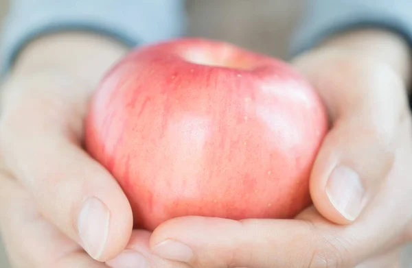 Main Tenant Tarte Aux Pommes Avec Forme Coeur Concept Amour — Photo