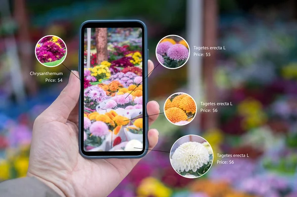 Εμπορία Επαυξημένης Πραγματικότητας Χέρι Που Κρατά Έξυπνο Τηλέφωνο Χρήση Εφαρμογή — Φωτογραφία Αρχείου