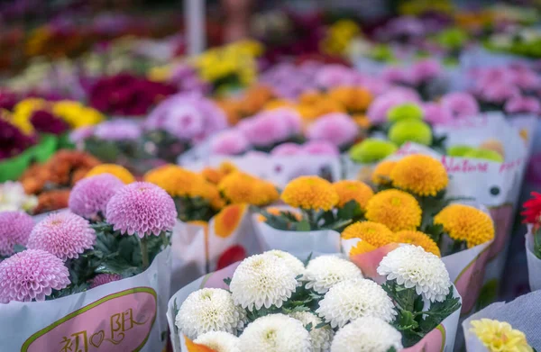 Квіти Хризантеми Рослина Квітковий Фон — стокове фото