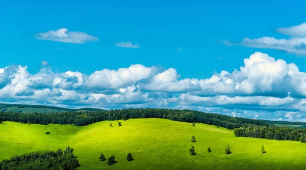 Kullar Gräsmarker Och Blå Himmel — Stockfoto