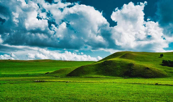 Tepeler, çayırlar ve mavi gökyüzü