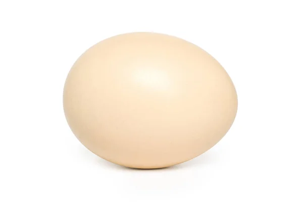 Одно Яйцо Тенью — стоковое фото