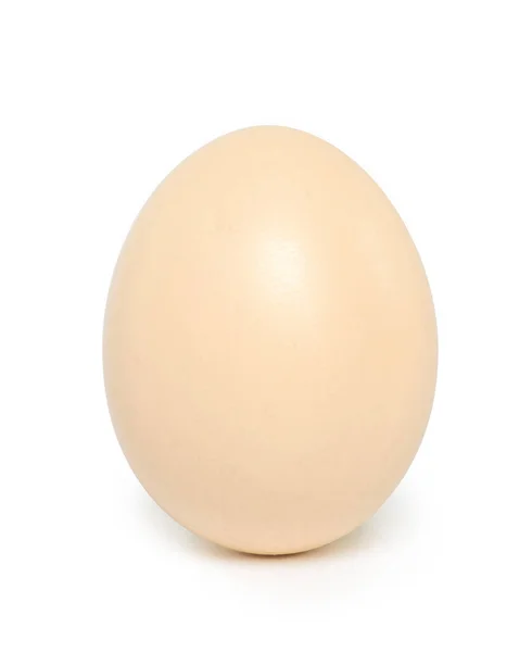 Ενιαίο Αυγό Στέκεται Λευκό Φόντο — Φωτογραφία Αρχείου