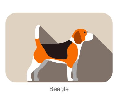 Beagle Dog düz simge tasarımı, vektör illüstrasyonu