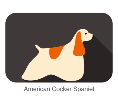 Amerikan Cocker Spaniel köpeği düz simge tasarımı, vektör illüstrasyonu