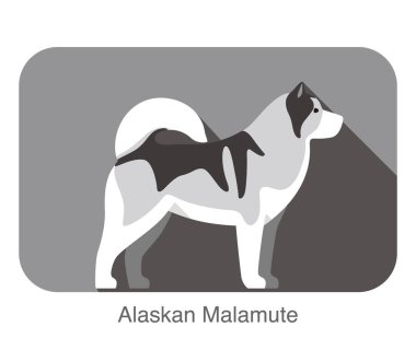 Alskan Malamute köpeği düz simge tasarımı, vektör illüstrasyonu