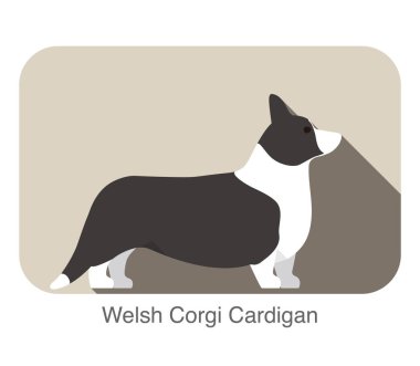 Yere yat, köpek doğurmak serisi ayakta Galce corgi hırka