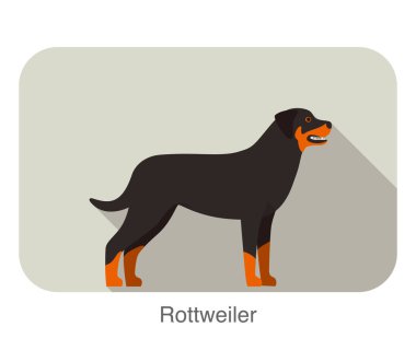 Rottweiler ırk köpek ayakta zemin, yan, köpek çizgi film görüntü serisi