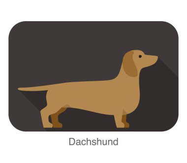 Dachshund Breed köpeği yerde duruyor, yan, köpek çizgi film serisi