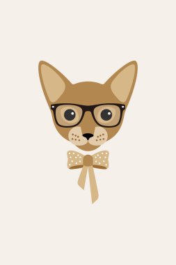 Zarif kedi giymek bir gözlük ve ilmek, moda portre kedi