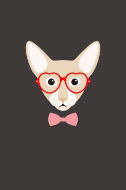 Zarif kedi giymek bir kalp gözlük ve ilmek, moda portre kedi