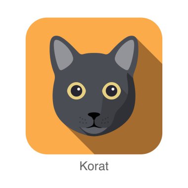 Korat kedi, kedi doğurmak yüz karikatür düz simgesi tasarım