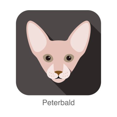 Peterbald kedi, kedi doğurmak yüz karikatür düz simgesi tasarım