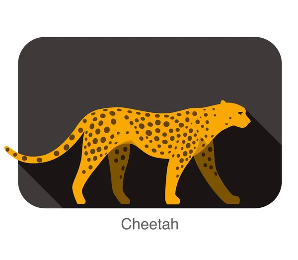 Cheetah Sida Platt Ikon Design Vektor Illustration — Stock vektor
