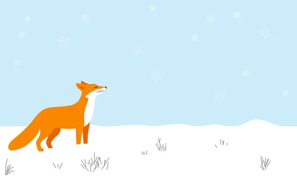 Zorro Rojo Caminando Sobre Nieve Huele Aire — Vector de stock