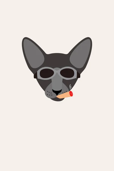 Gentlemen Cat Wear Glasses Smoking Cigar Fashion Portrait Cat — Stock Vector