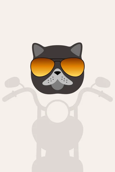 Exotická Kočka Nosí Brýle Jezdit Harley Davidson Motor Módní Portrét — Stockový vektor