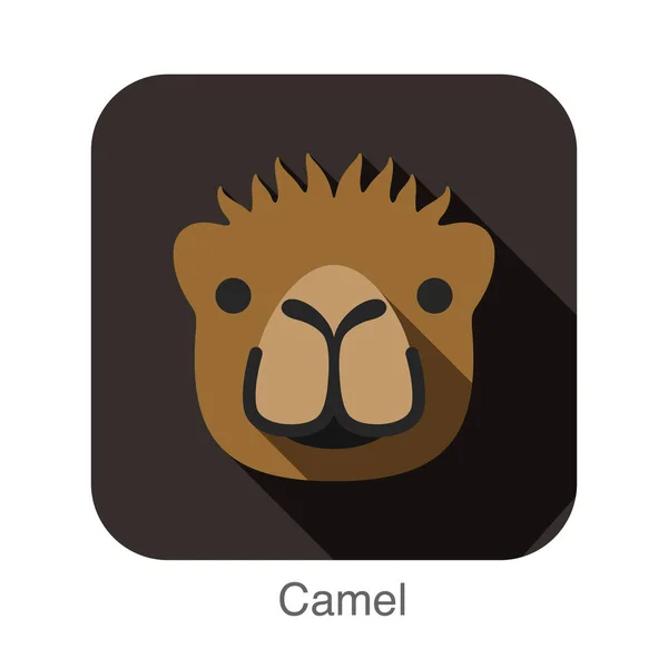 Camelo Animal Design Plano — Vetor de Stock