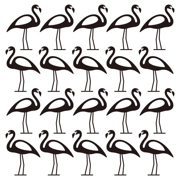 Vackra Flamingo Stående Rad Fågel Serie — Stock vektor