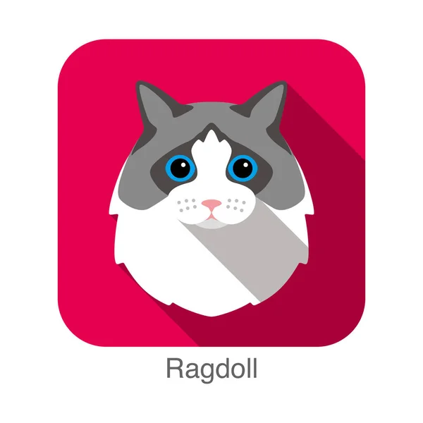Ragdoll Katze Rasse Gesicht Cartoon Flache Icondesign — Stockvektor