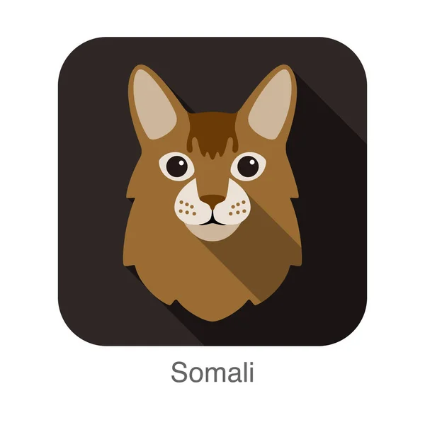 Σομαλίας Γάτα Γάτα Φυλή Προσώπου Κινούμενα Σχέδια Επίπεδη Εικόνα Σχεδιάζω — Διανυσματικό Αρχείο