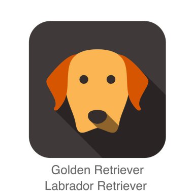 köpek yüz düz tasarım, Golden Retriever, Labrador