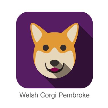 Galli Corgi Pembroke köpek yüzü düz tasarım