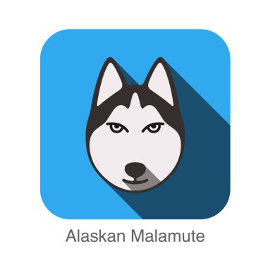 Alaskan Malamute hayvan yüz UI düz tasarım