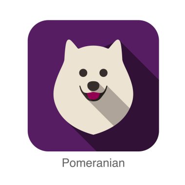 Pomeranian köpek yüz düz simgesi
