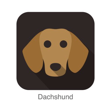 Dachshund Köpek yüz düz simgesi