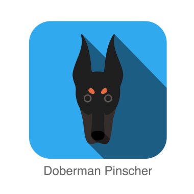 Doberman Pinscher köpek yüz düz simgesi