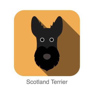 İskoçya terrier köpek yüz düz simgesi