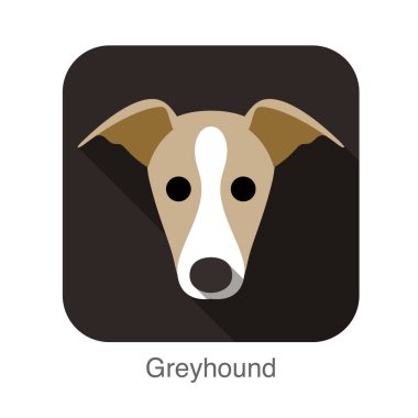 grayhound köpek yüz düz simgesi