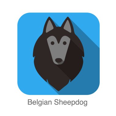 Tervuren köpek yüz düz simgesi, köpek serisi