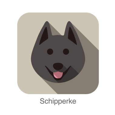 Schipperke köpek yüz düz simgesi