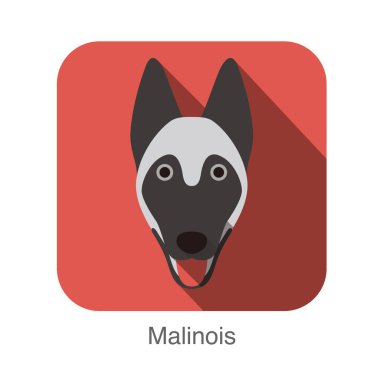 Malinois köpek yüz düz simgesi, köpek serisi