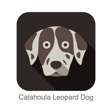 Catahoula Leopar köpeği yüz düz simgesi, köpek serisi