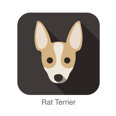 Rat terrier köpek yüz düz simgesi, köpek serisi