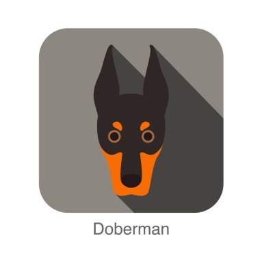 Doberman köpek yüz düz simgesi, köpek serisi