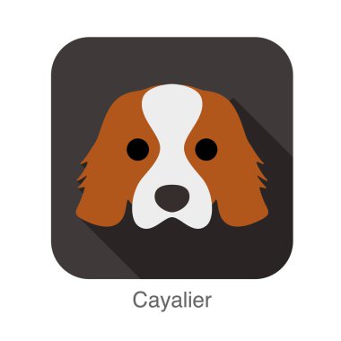 Cayalier köpek yüz düz simgesi, köpek serisi