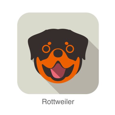 Rottweiler köpek yüz karikatür düz simgesi tasarım