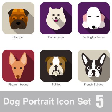 Köpek yüz portresi tasarım serisi