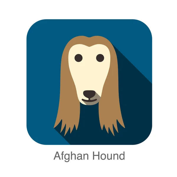 Afghanischer Windhund Tier Gesicht Flache Bauform — Stockvektor