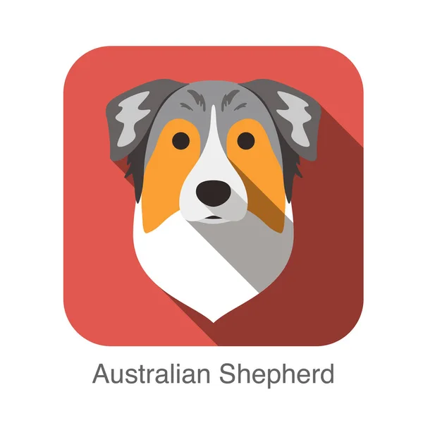 Australischer Schäferhund Flach Symbol Hund Serie — Stockvektor