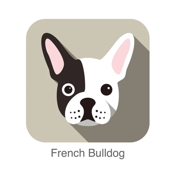 Γαλλικά Μπουλντόγκ Επίπεδη Εικόνα Πρόσωπο Σειρά Σκυλί — Διανυσματικό Αρχείο