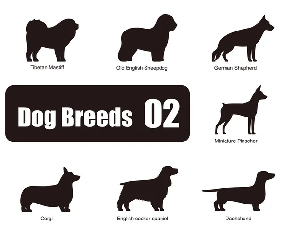 Dog Breeds Standing Ground Side View Silhouette Black White Vector — Stock Vector