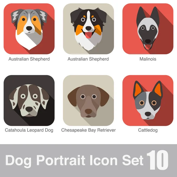 Dog Πρόσωπο Πορτρέτο Εικονίδιο Σειρά Σχεδιασμού — Διανυσματικό Αρχείο